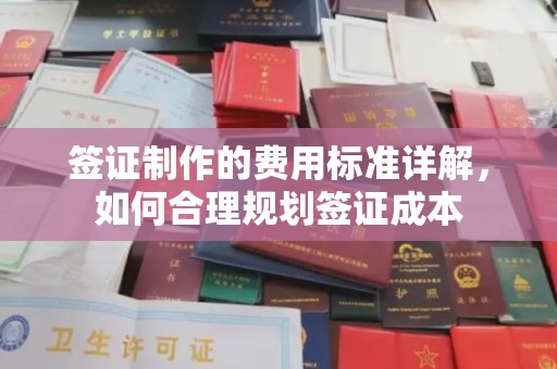 岐山签证制作的费用标准详解，如何合理规划签证成本